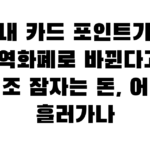 내 카드 포인트가 지역화폐로 바뀐다고? 수십조 잠자는 돈, 어디로 흘러가나