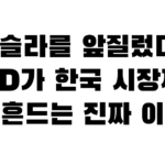 테슬라를 앞질렀다? BYD가 한국 시장까지 뒤흔드는 진짜 이유