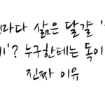 아침마다 삶은 달걀 ‘천연 위고비’? 누구한테는 독이 되는 진짜 이유
