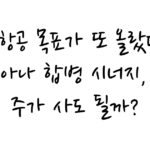 대한항공 목표가 또 올랐다…아시아나 합병 시너지, 지금 주가 사도 될까?