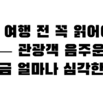 제주 여행 전 꼭 읽어야 할 글 — 관광객 음주운전, 지금 얼마나 심각한가