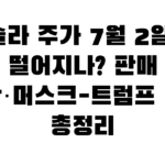 테슬라 주가 7월 2일 왜 떨어지나? 판매 급락·머스크-트럼프 전쟁 총정리