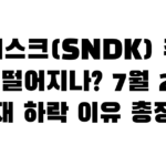 샌디스크(SNDK) 주가 왜 떨어지나? 7월 2일 현재 하락 이유 총정리