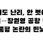 벗어도 난리, 안 벗어도 난리…장원영 공항 민낯 품평 논란의 민낯