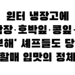 윈터 냉장고에 막장·호박잎·콩잎… ‘냉부해’ 셰프들도 당황한 할매 입맛의 정체