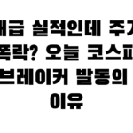 역대급 실적인데 주가는 폭락? 오늘 코스피 서킷브레이커 발동의 진짜 이유