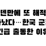 아덴만에 또 해적이 나타났다…한국 군함이 긴급 출동한 이유