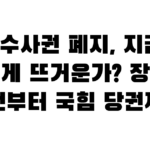 보완수사권 폐지, 지금 왜 이렇게 뜨거운가? 장윤기 사건부터 국힘 당권까지