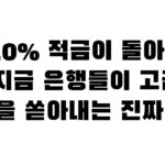 연 10% 적금이 돌아왔다 — 지금 은행들이 고금리 특판을 쏟아내는 진짜 이유