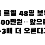 잠실 르엘 48평 보유세 500만원…앞으로 2~3배 더 오른다고?