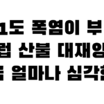 41도 폭염이 부른 유럽 산불 대재앙…지금 얼마나 심각한가