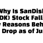 Why Is SanDisk (SNDK) Stock Falling? Key Reasons Behind the Drop as of July 2