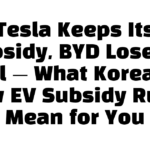 Tesla Keeps Its Subsidy, BYD Loses It All — What Korea’s New EV Subsidy Rules Mean for You
